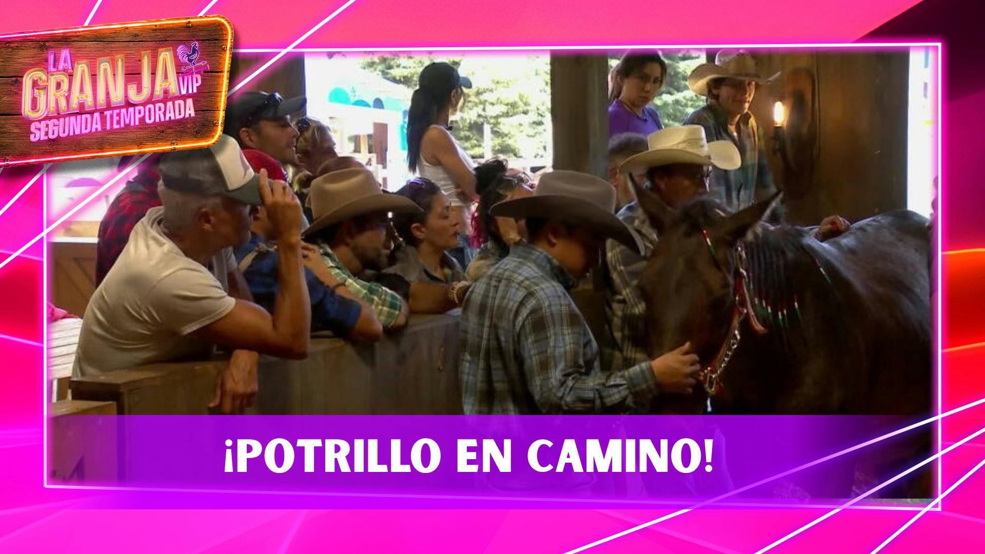 Los Granjeros reciben una tierna sorpresa del Tío Pepe