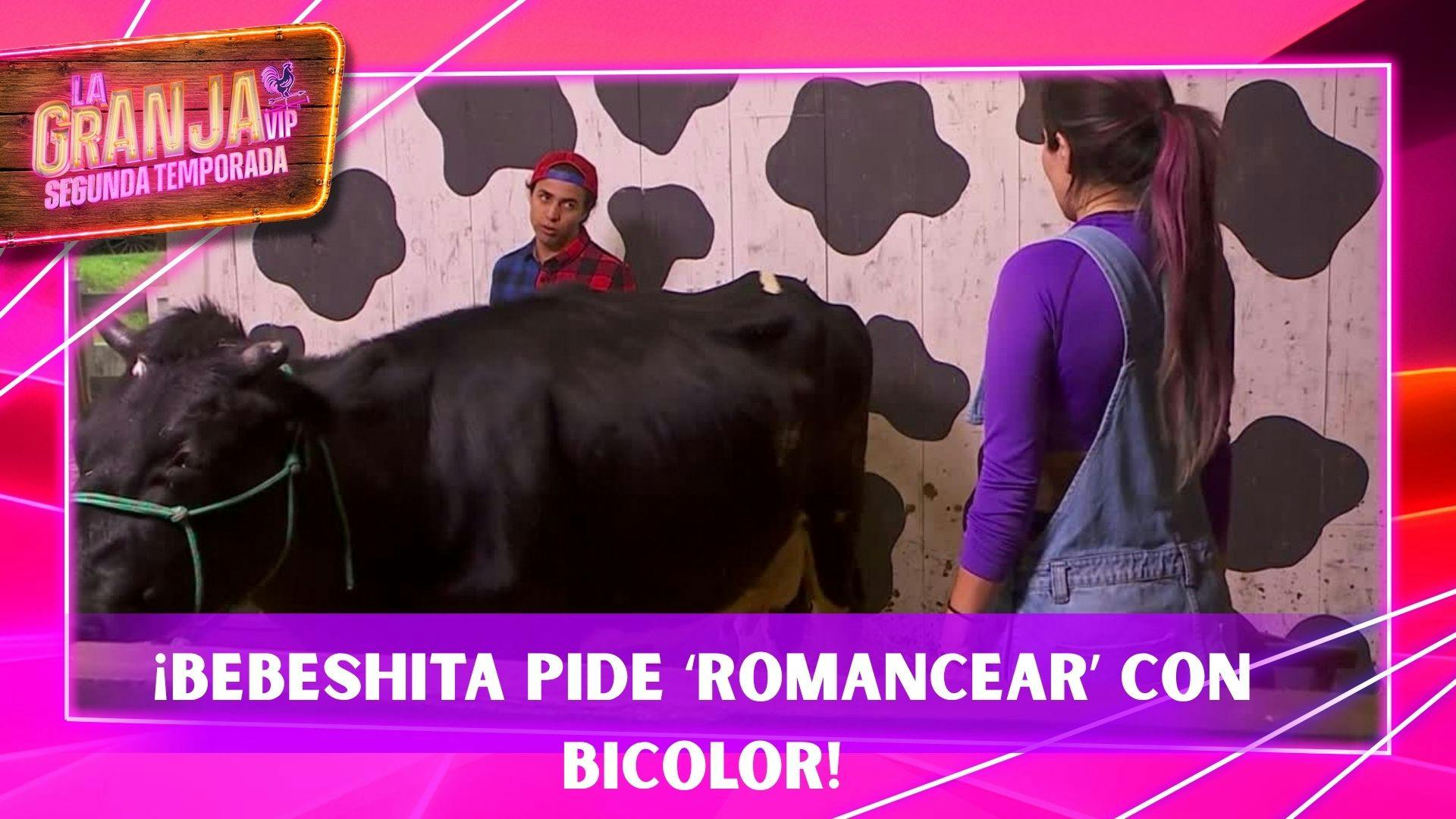 Bebeshita le pide ‘romancear’ a Bicolor y su respuesta la deja sin palabras (VIDEO)