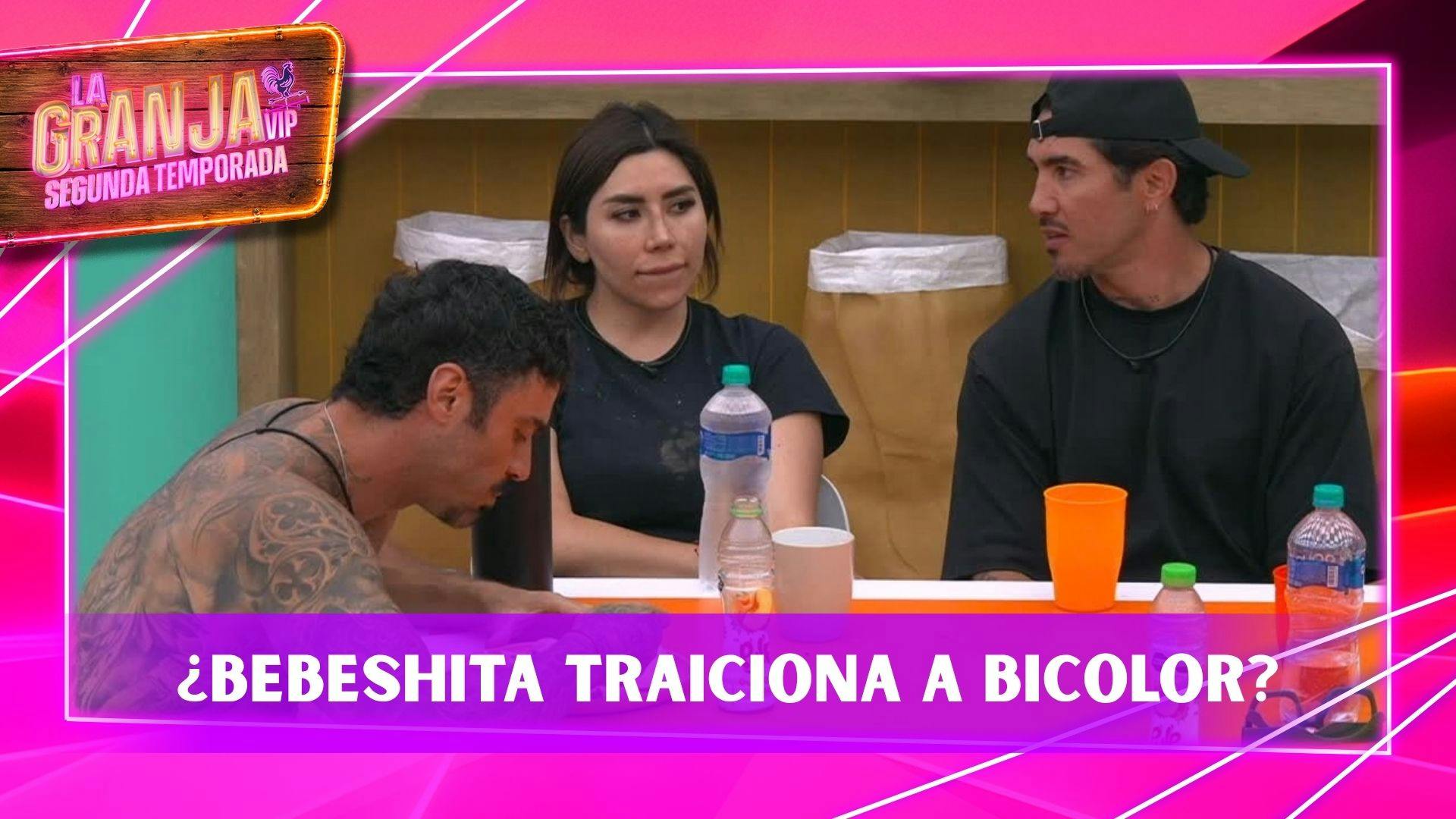 ¿Traición a Bicolor? Bebeshita revela a quién elegirá para ser su compañero de habitación si logra ser Capataz