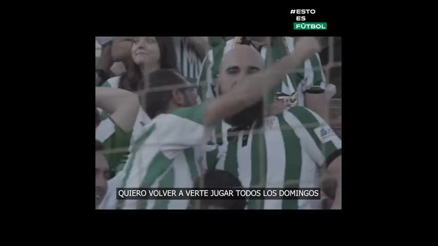 Afición Córdova 