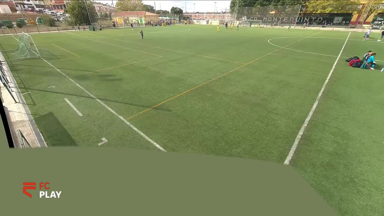 C.D. MONTEQUINTO vs  C.D. TORO TOCINA LOS ROSALES 'B'