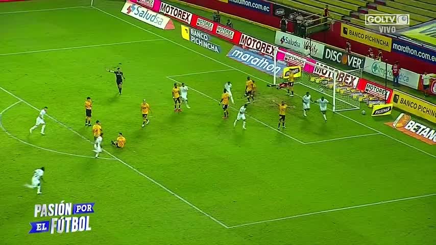Pasión por el Fútbol
