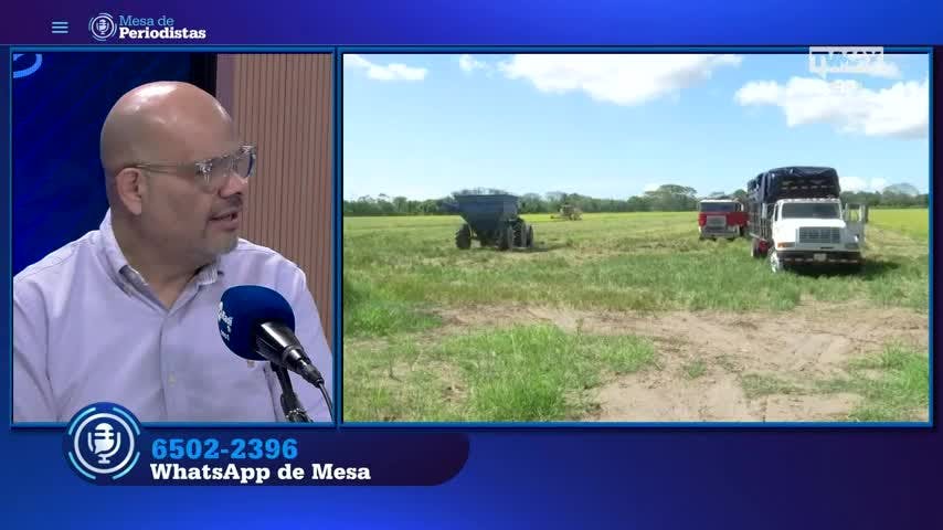 Mesa de periodistas 14 de agosto 2024