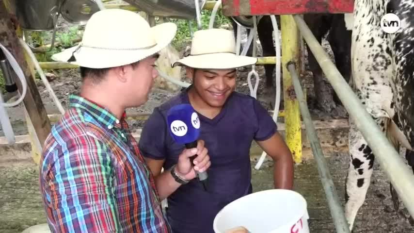 Hecho en Panamá del 17 de agosto 