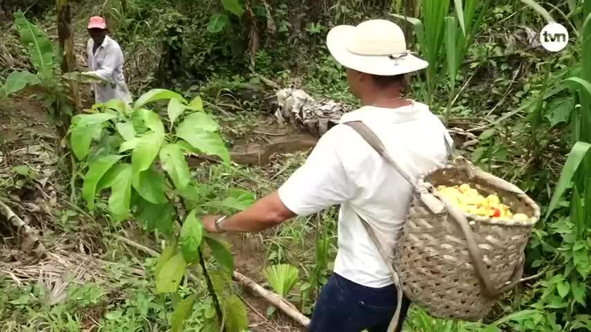 Hecho en Panamá del 31 de agosto del 2024