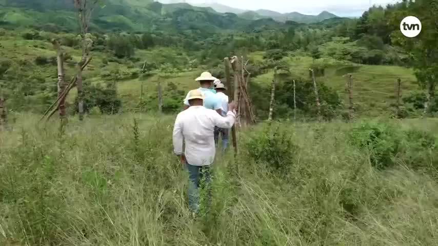 Hecho en Panamá del 7 de septiembre del 2024