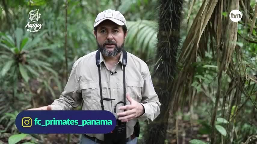 Amigos de huellas - Episodio 134