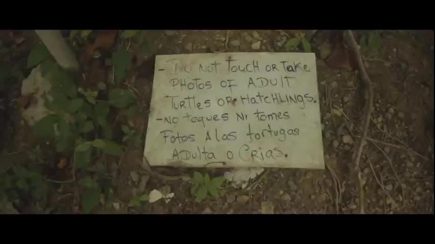 DOCUMENTAL-Rescatando el Sabor del Caribe HD TVN.mp4