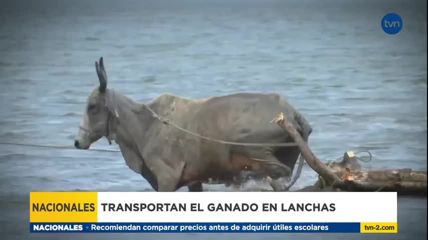 Contenido exclusivo: El clamor de la costa abajo de Colón