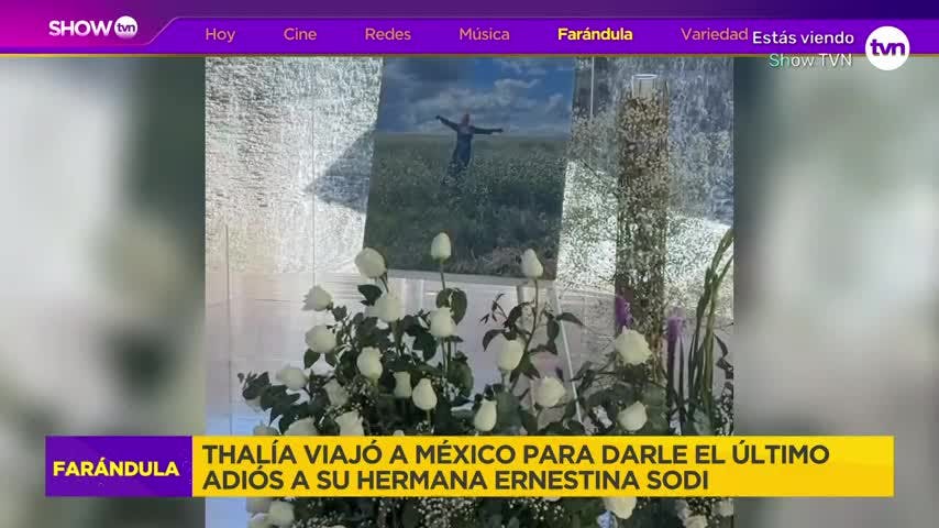Show TVN - 12 de noviembre 2024