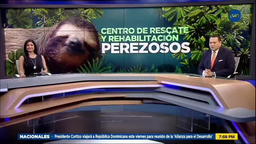 Mundo Verde: Centro de rehabilitación y rescate de perezosos