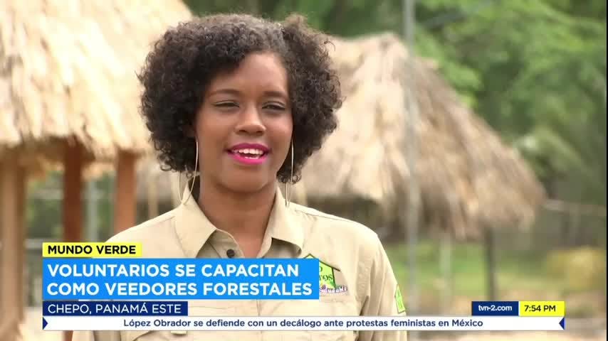 Mundo Verde: Los veedores forestales