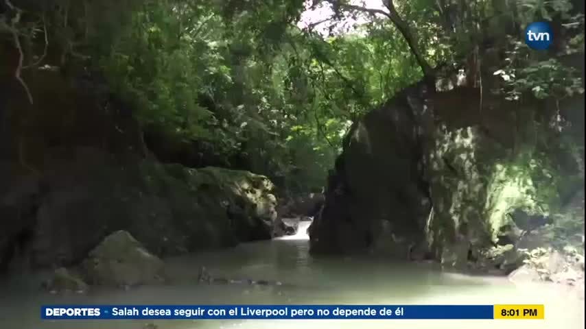 Mundo Verde: Parque Nacional Chagres