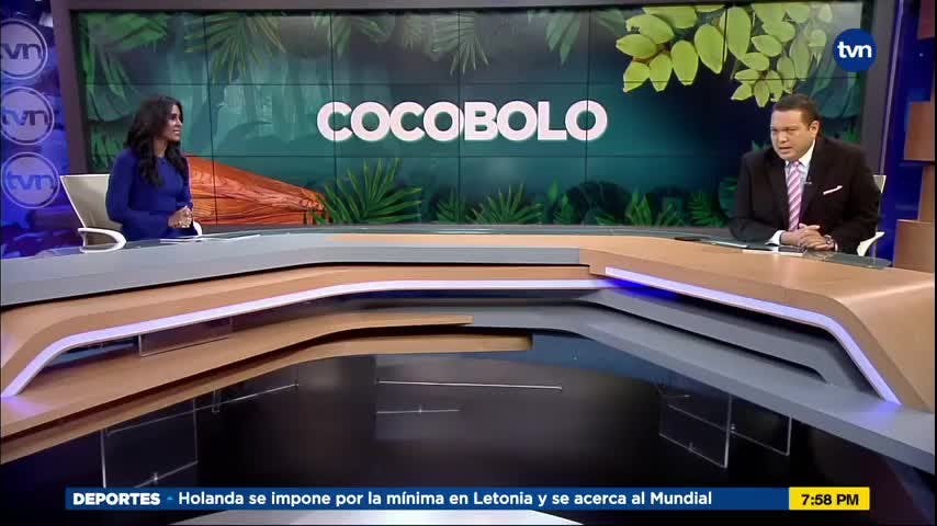 Mundo Verde: Cocobolo