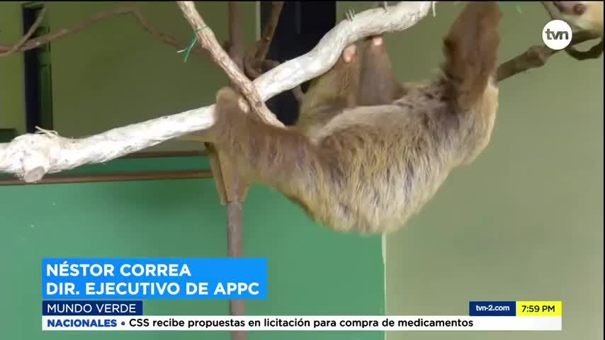 Mundo Verde: Fundación APPC
