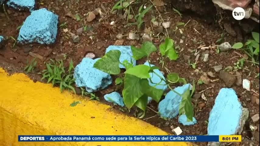 Mundo Verde: Proyecto Vida
