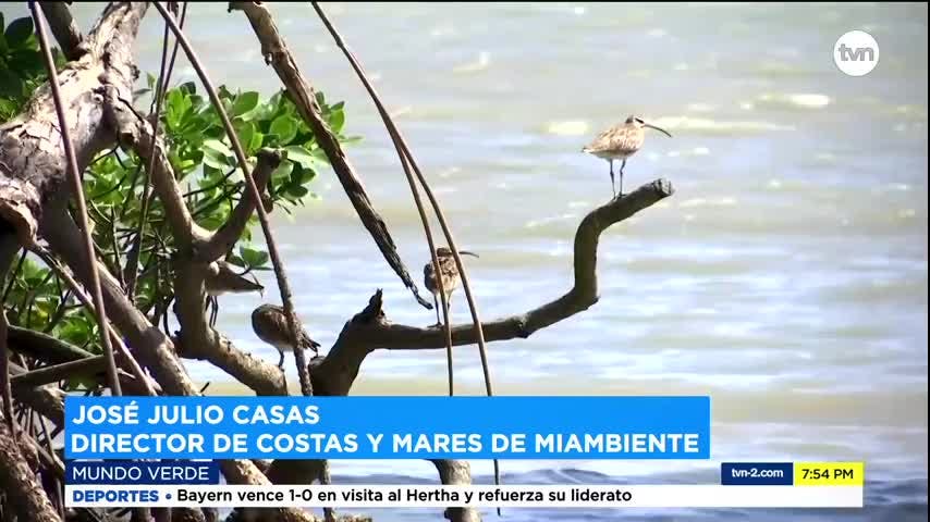 Mundo Verde: Humedales