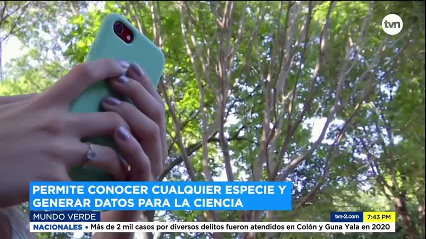 Mundo Verde: Inaturalist