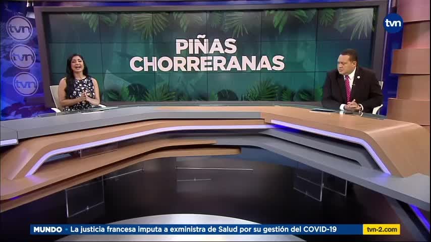 Mundo Verde: Las piñas de La Chorrera