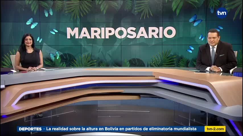 Mundo Verde: Mariposario
