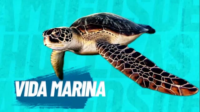 Amigos de Huellas - Episodio 1
