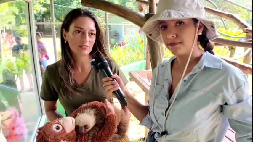 Amigos de Huellas - Episodio 3