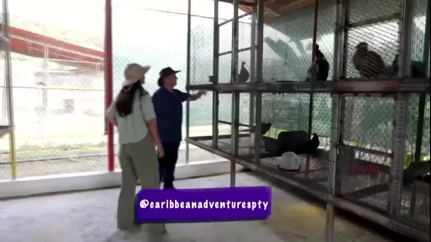 Amigos de Huellas - Episodio 7