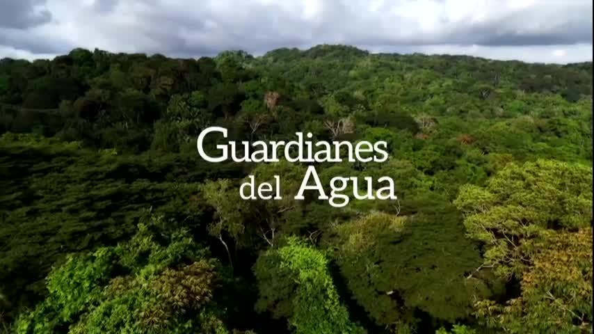 Voces de la Naturaleza: Guardianes del Agua