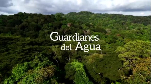 Voces de la Naturaleza: Guardianes del Agua