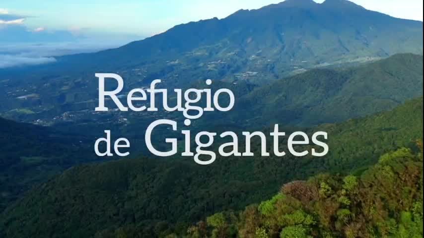 Voces de la Naturaleza: Refugio de Gigantes