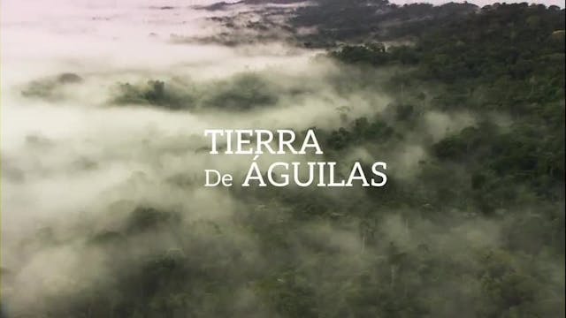 Voces de la Naturaleza: Tierra de Águilas