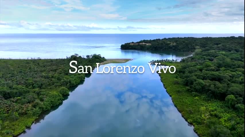 Voces de la Naturaleza: San Lorenzo Vivo