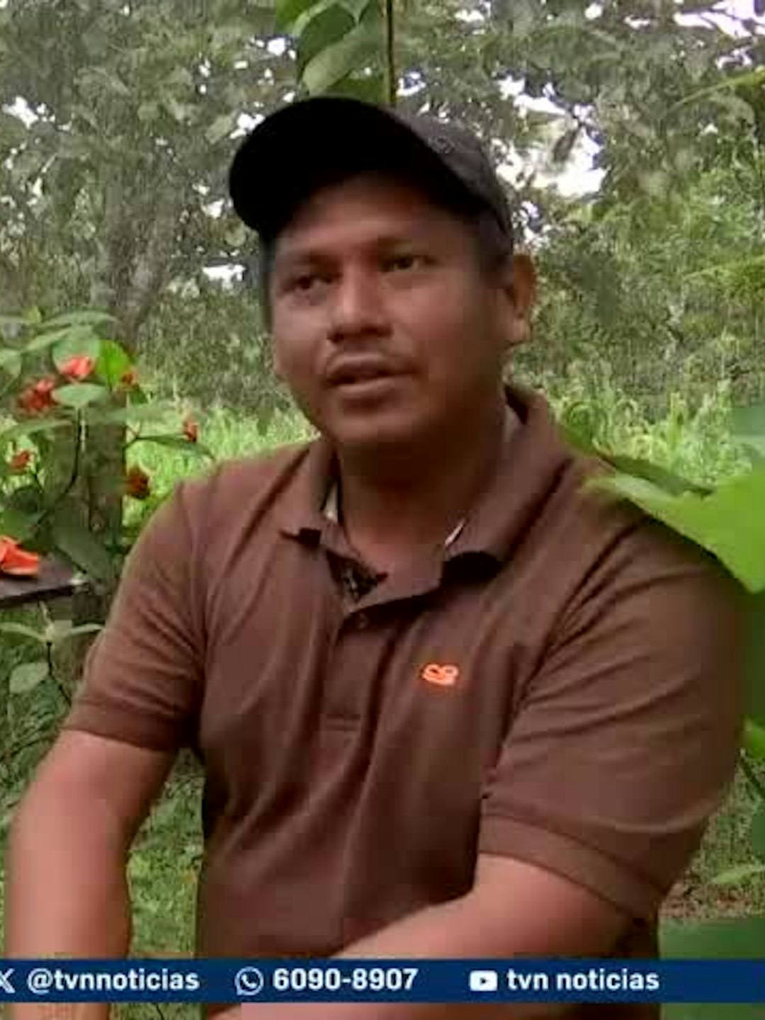 Mundo Verde: Mariposas un tesoro que se cultiva