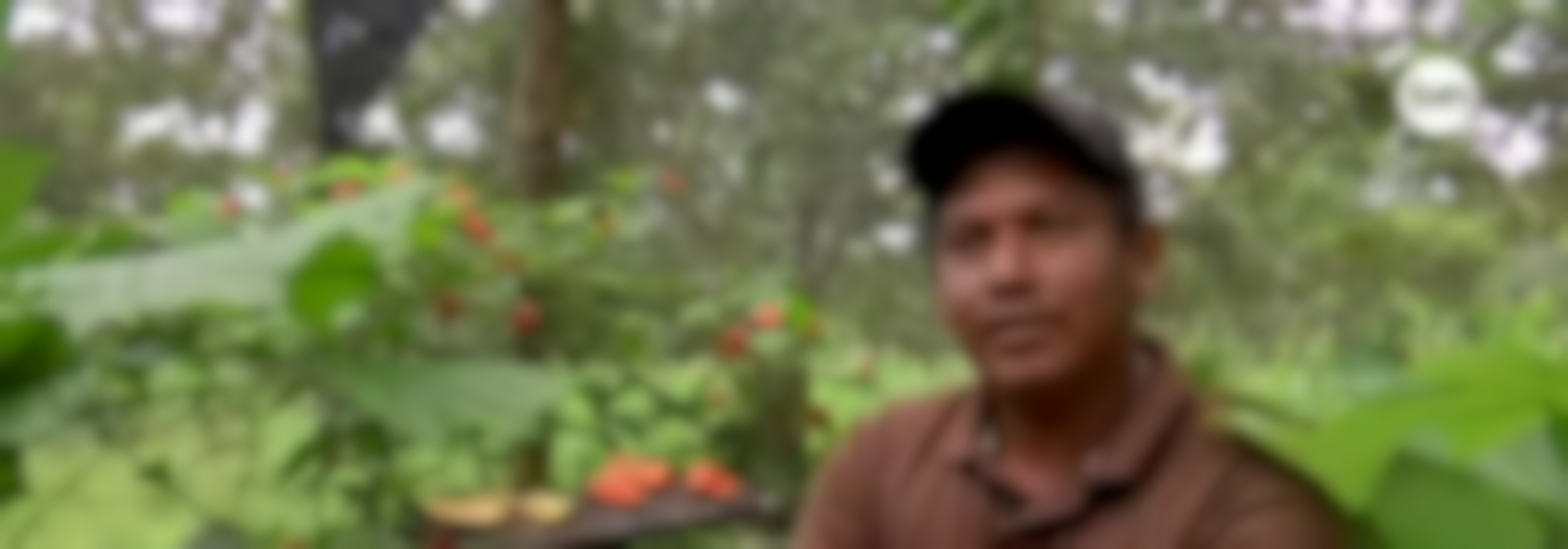 Mundo Verde: Mariposas un tesoro que se cultiva
