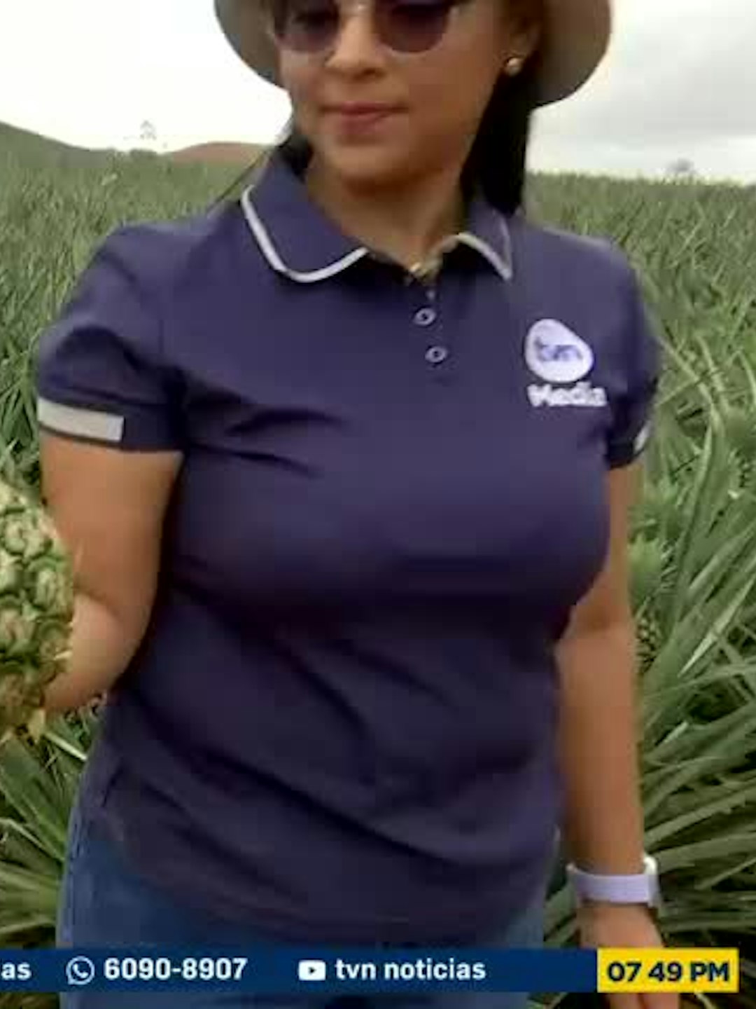 Mundo Verde: La piña bajo presión climática