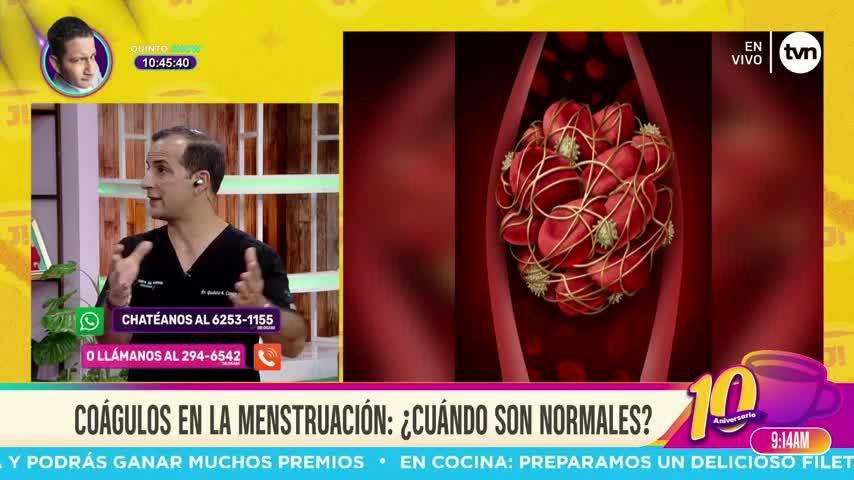 Cita Médica: Coágulos en la menstruación ¿cuándo son normales?