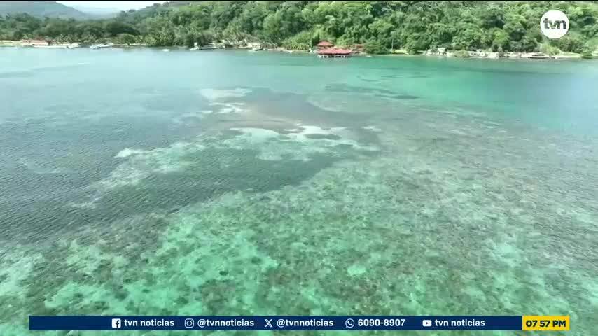 Mundo Verde: Océanos bajo presión 