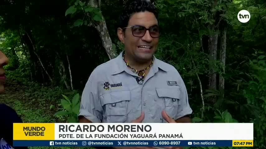 Mundo Verde: Unidos por el jaguar