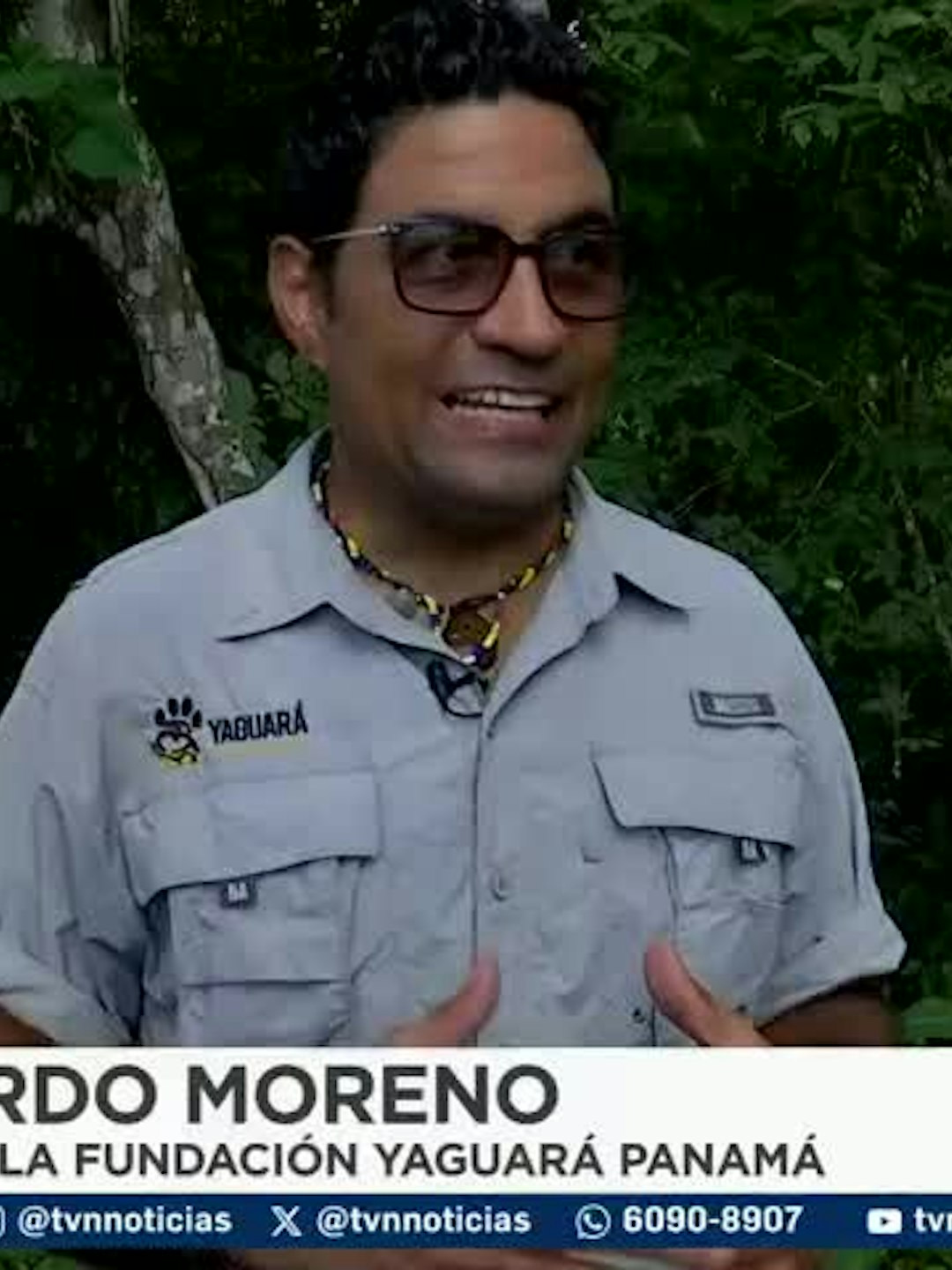 Mundo Verde: Unidos por el jaguar