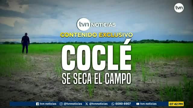 Contenido Exclusivo: Coclé, se seca el campo