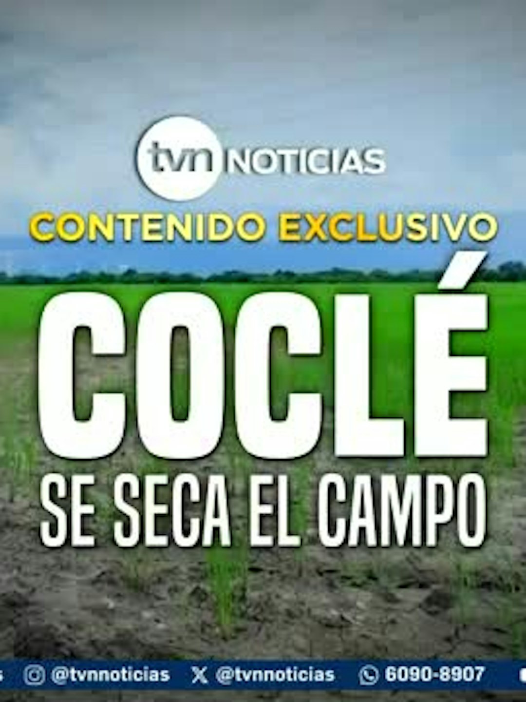 Contenido Exclusivo: Coclé, se seca el campo