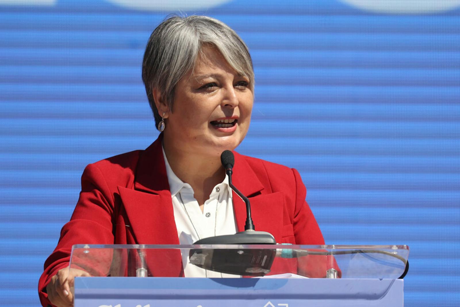 Programa final de Jeannette Jara, la encrucijada de la centroizquierda en la carrera presidencial y el aumento de extranjeros que retiran fondos de pensiones episode artwork