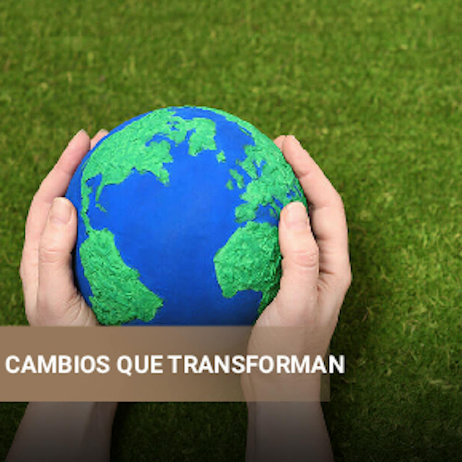 El Día Internacional contra el Cambio Climático y Polilla Hub episode artwork