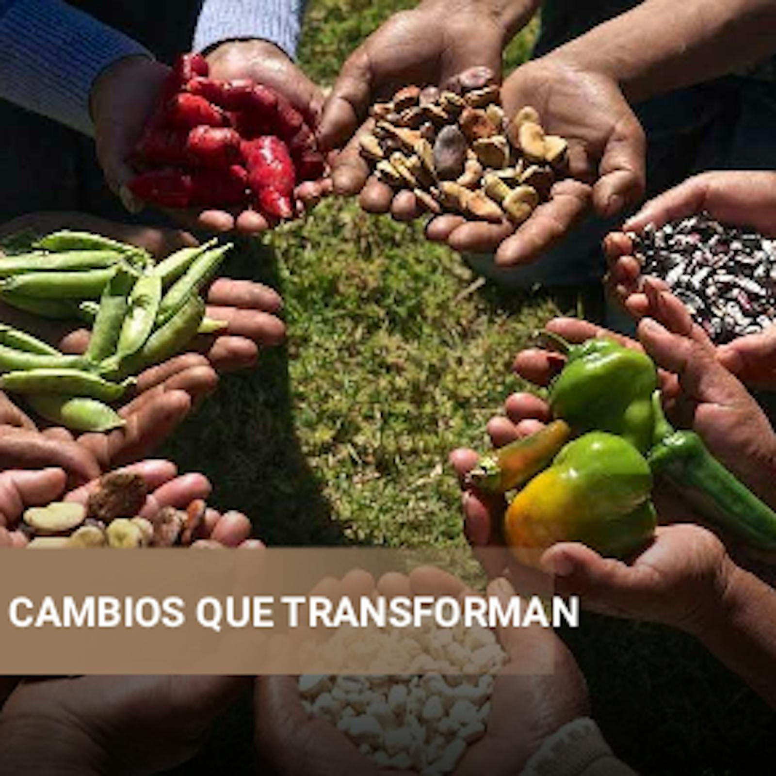 El estudio Transparencia ASG, auditoría y más allá y las soluciones innovadoras para impulsar la agricultura regenerativa y la seguridad alimentaria  episode artwork