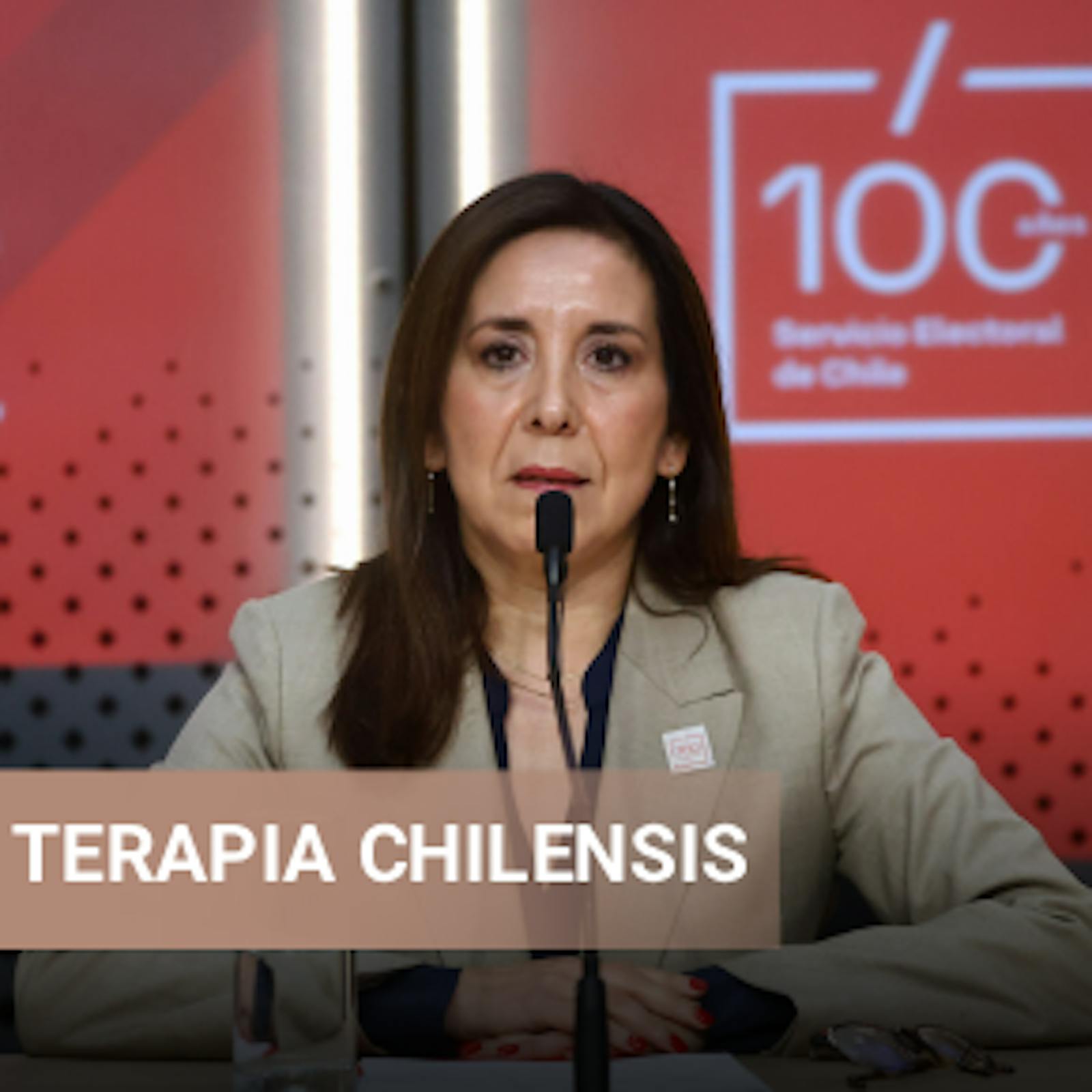 Pamela Figueroa sobre desinformación en elecciones: "Probablemente, es un tema que debemos discutir cómo lo enfrentamos"