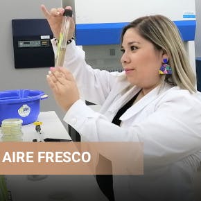 FIDOCS 29, la exposición Ricardo Yrarrázaval y la recuperación de suelos erosionados