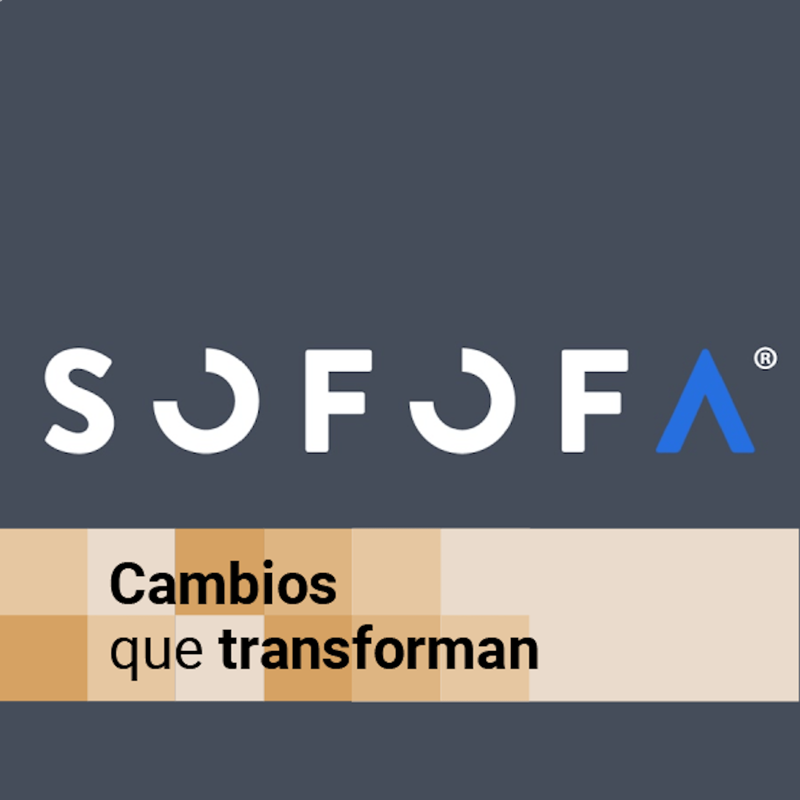 Los 15 años de Startup Chile y las brechas de productividad que hoy tensionan la competitividad de las empresas episode artwork