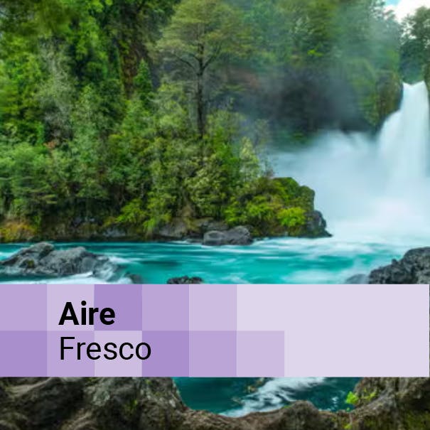 La importancia de una conservación activa desde la Reserva Biológica Huilo-Huilo