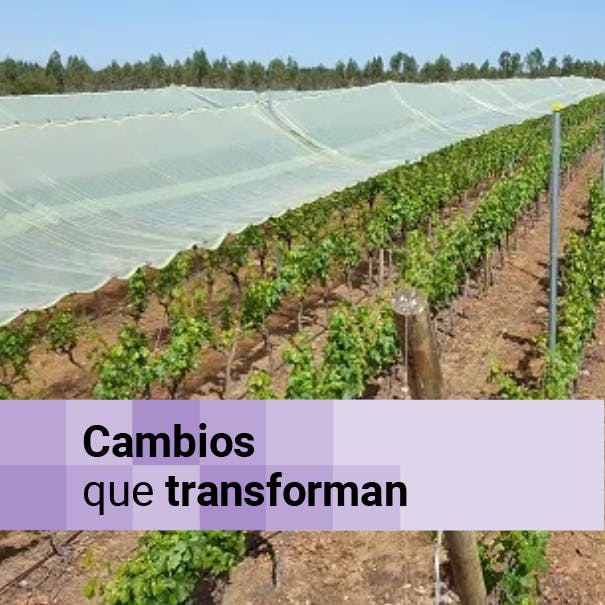 Sostenibilidad y tecnología en el desarrollo social