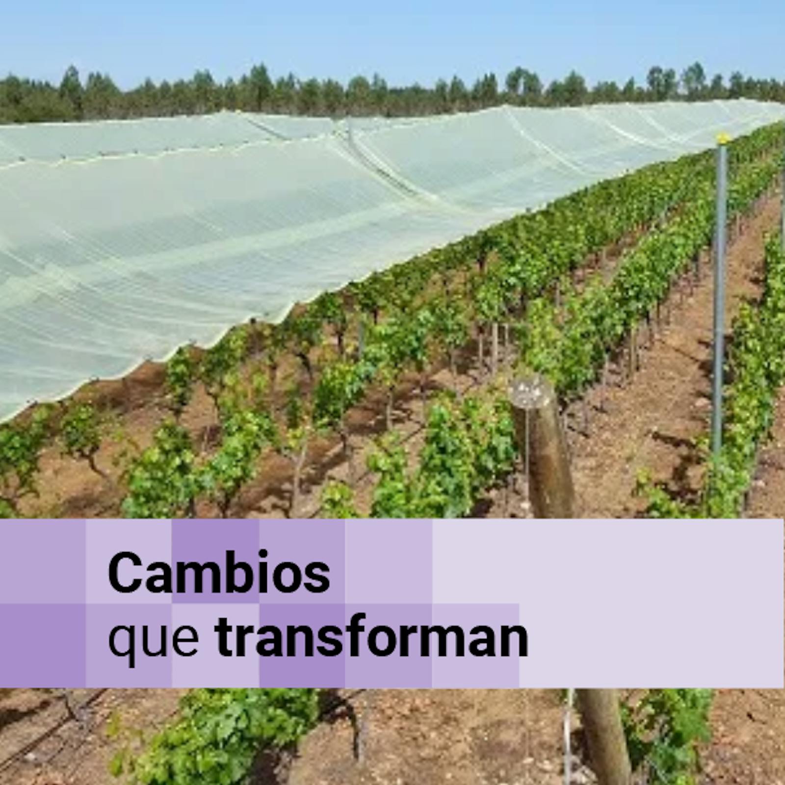 Sostenibilidad y tecnología en el desarrollo social Sostenibilidad y tecnología en el desarrollo social